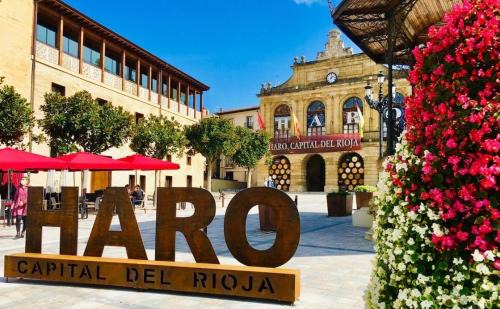 Haro Apartment | Discover El Tesoro de Baco: Pet-Friendly Retreat with Top Rating