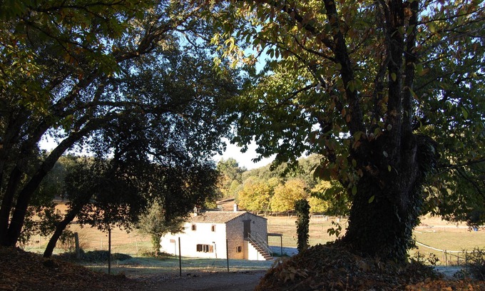 Fuenteheridos Cottage | Experience El Zurrador: Pet Friendly Farm Stay with Ocean Views
