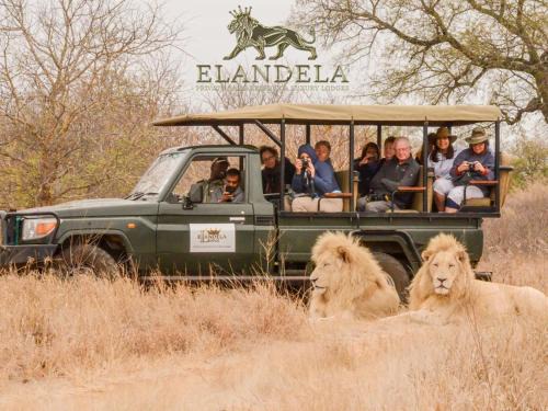 Thorny Bush Game Reserve Cabin | Explore Elandela Private Game Reserve and Luxury Lodge