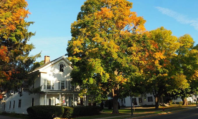 Lee House | Elegant 19th Century Garfield House: Pet-Friendly Retreat