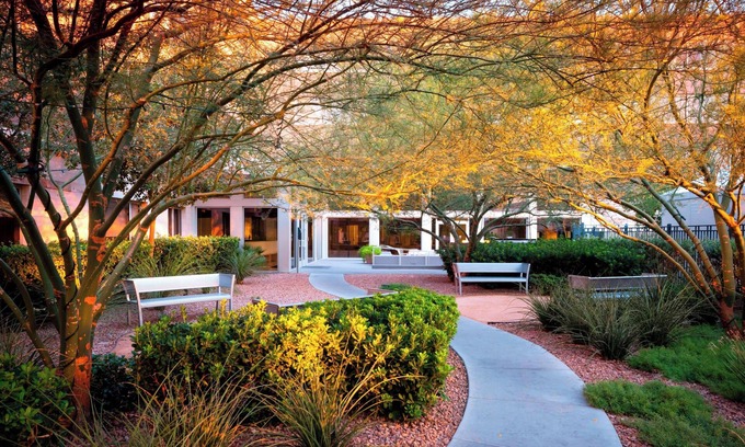 Las Vegas Hotel | Eco-Friendly Getaway at Element Las Vegas Summerlin