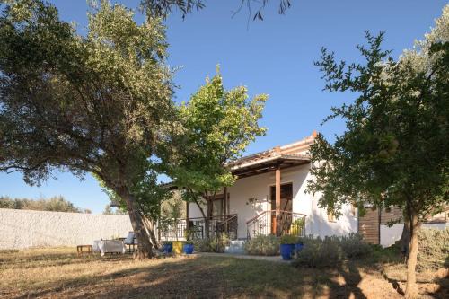 Skiathos House | Cozy Eleni's Cottage: Oceanfront Retreat for Natural Living