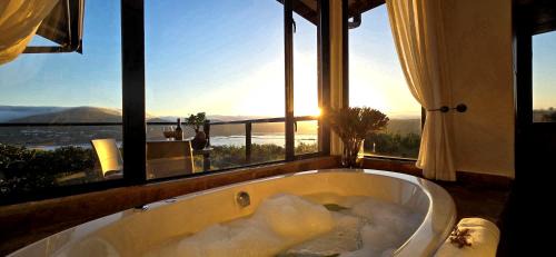 Knysna Cabin | Pet-Friendly Oceanfront Retreat at Elephant Hide of Knysna