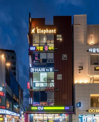 Jung-gu Apartment | Oceanfront Elephant Hotel: Family-Friendly 4-Star Retreat