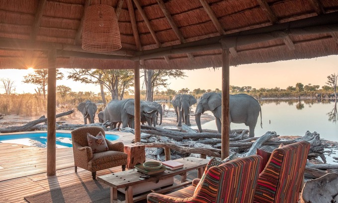 Khwai Other | Hyena Pan: Family-Friendly Getaway with Pool & Dining