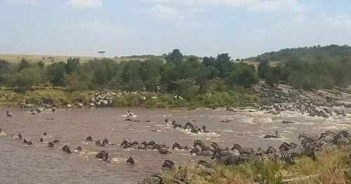 Maasai Mara House | Pet-Friendly Elephant Trails Camp with Spa and Hot Tub