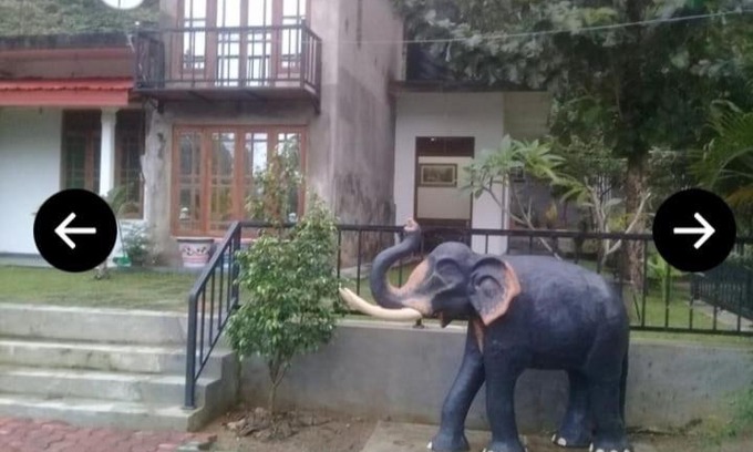 Damana House | Family-Friendly Elephant View Hotel for Your Perfect Getaway