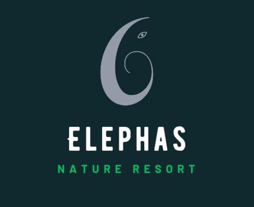 Dambulla Hotel | Relax at Habarana Lake Resort: 4-Star Retreat with Spa