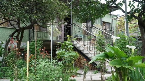 Kutaisi House | Discover Eleven Guest House: Rated 9.7, Pet-Friendly Retreat