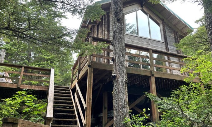 Elfin Cove Cabin | Experience Elfin Cove's Hilltop Tree House with Breakfast