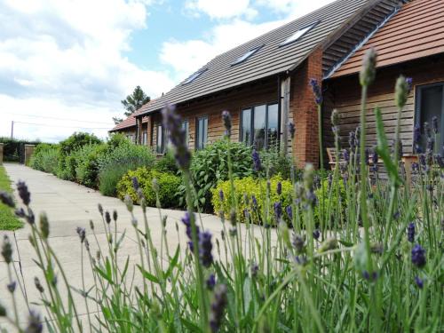 Yardley Gobion Apartment | Pet-Friendly Elm Tree Farm Accommodation with Great Reviews