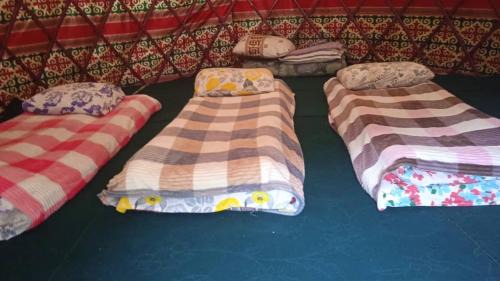 Teploklyuchenka Other | Elmar Yurt Camp Altyn Arashan