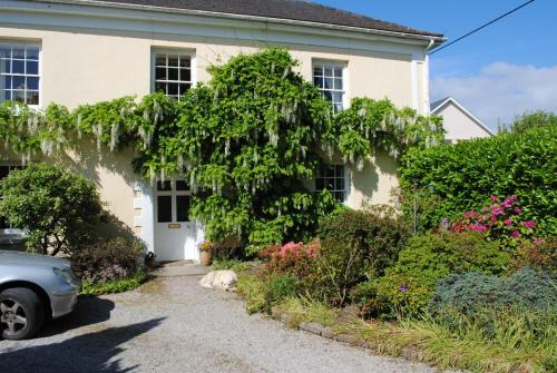 Northlew Bed & Breakfast | Elmfield: Pet-Friendly Haven with Breakfast & High Ratings