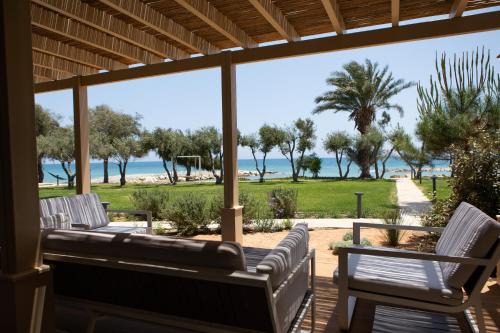 Agios Theodoros Apartment | Experience Elya Beach Suites: Oceanfront with Pool & Dining