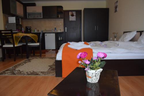 Pamporovo Apartment | Pet-Friendly Elza Apartment with Pool & Restaurant Awaits