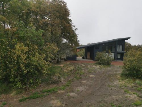 Pinto House | Emai