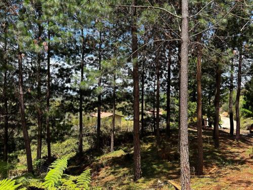 Gomez Plata Other | Experience eMeGé Glamping & E-Coworking with Pets Welcome