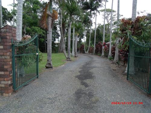 Emerald Beach Bed & Breakfast | Relax at Emerald Tropical Palms B & B with Breakfast Included