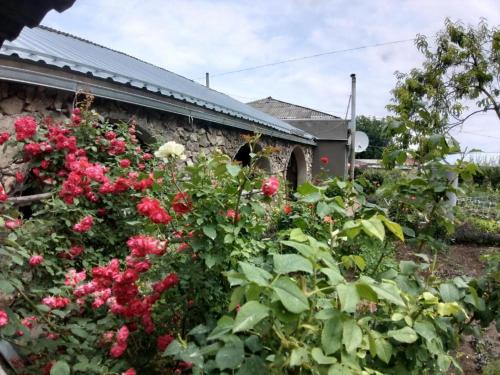 Tatev House | Guest Rated 10/10: Artina Guest House with Hot Tub & Breakfast