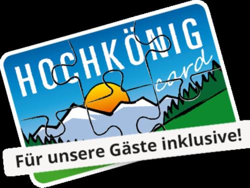 Dienten am Hochkoenig Apartment | Family-Friendly Comfort at Emma Top 1 XL with High Ratings