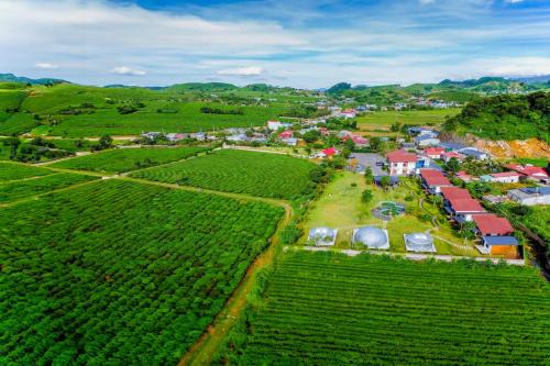 Moc Chau Resort | Emopea Moc Chau: Cozy Retreat with Family-Friendly Amenities