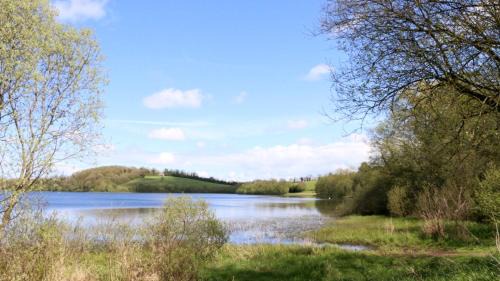 Emyvale Apartment | Pet-Friendly Retreat at Emy Lake Studio - Rated 9/10