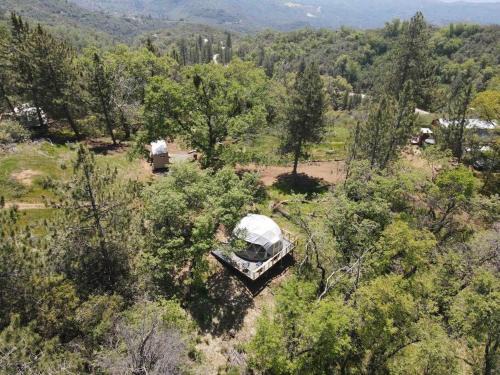 Dunlap Other | Pet-Friendly Enchanted Forest Dome Near Kings Canyon