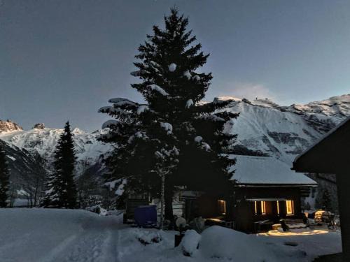 Engelberg Ski Chalet | Engelberg Chalet in Prime Location with Family Amenities