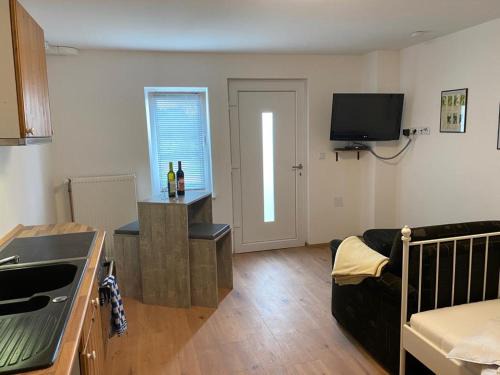 Mainz-Bingen Apartment | Pet-Friendly Engelhard’s Ferien Apartment with Ocean Views