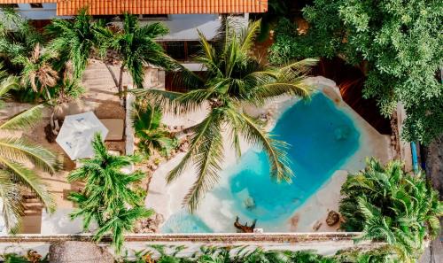 Downtown Cancun Hotel | Unforgettable Hotel Experience with Ocean Views & Pool