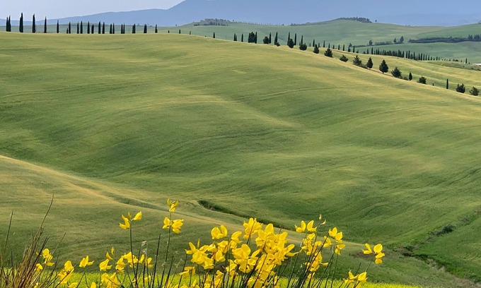 Trequanda Apartment | Experience a Classic Tuscan Hill Town Getaway with AC!