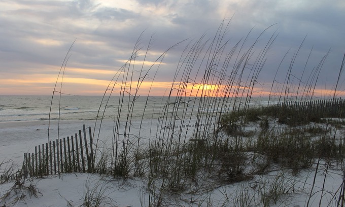 Inlet Beach House | Indulge in Inlet Beach with Private Oceanfront Access