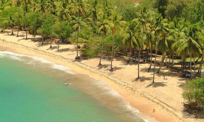 Tartane Apartment | Beachfront Oasis with Pool and Ocean View for Families