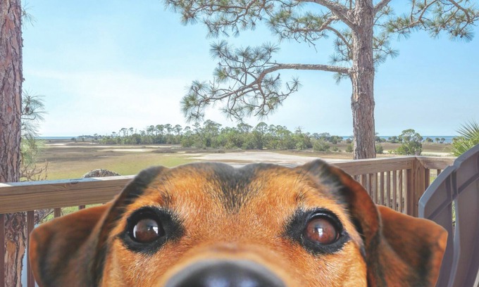 Salem House | Pet-Friendly Waterfront Retreat with Boat Dock near Keaton Beach