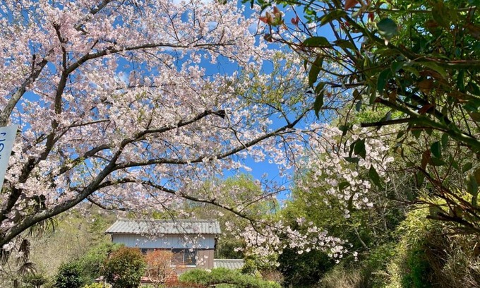 Tamano Cabin | Family-Friendly Ensoh with Ocean View and Hot Tub