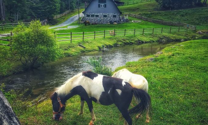 Sugar Grove Cabin | Experience a Unique Barn Stay with Petting Zoo & Ziplines