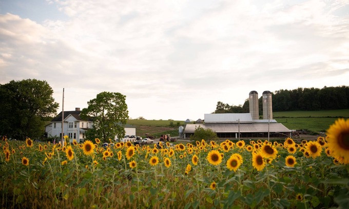 Dickerson Run Other | Maple Bottom Farm: Family-Friendly Retreat with Pool & Breakfast