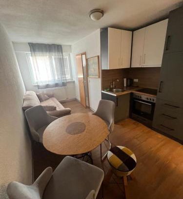 Murg Apartment | Comfortable Era Home: Pet-Friendly & Family-Oriented Stay