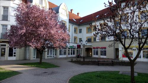 Sarospatak Apartment | Top-Rated Erdélyi Vendégház with Breakfast & Family-Friendly Amenities