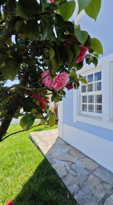 Mafra Villa | Relaxing Oceanview Villa with Pool & Hot Tub in Ericeira