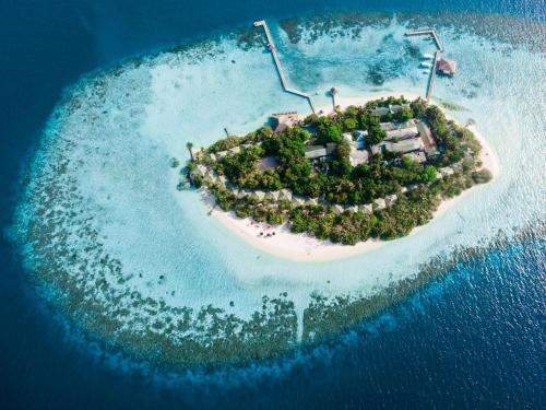 Eriyadu Resort | Discover Eriyadu Island Resort: Oceanfront Paradise Awaits