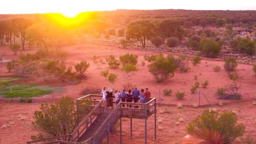 Erldunda Hotel | Relax at Erldunda Desert Oaks Resort - Pet Friendly Retreat