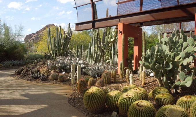 South Scottsdale Resort | Discover Serene Getaways Near Golf and Camelback Mountain