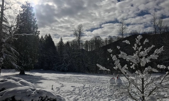 Welches House | Unwind at Whispering Woods: Top-Rated Escape in Mt. Hood