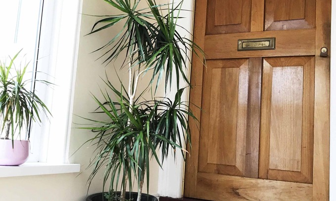 Southsea Hotel | Esk Vale Guest House