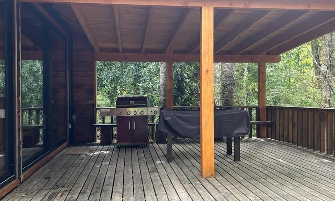 Neltume House | Spacious Huilo Huilo House with Top Guest Rating 9.4