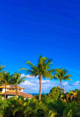 Curuipe Bed & Breakfast | Escape to Espelho Bahia Blue House with Oceanfront Views