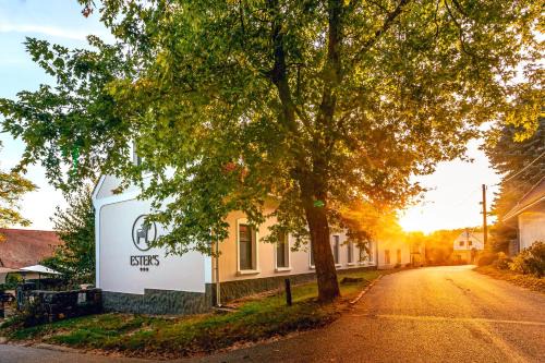 Szentbekkalla Bed & Breakfast | Discover ESTER'S Szentbékkálla: Family & Pet-Friendly Stay