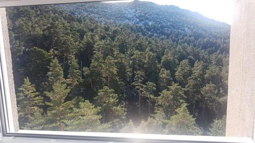 Valdesqui Apartment | Romantic Studio Retreat in Puerto De Navacerrada
