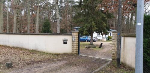 Arbonne-la-Foret House | Explore Etape Forêt Fontainebleau: Climb & Hike Adventures